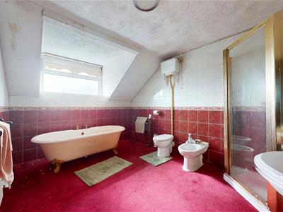 Picture 20